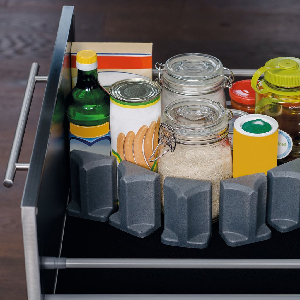 Purvario System Modul IV