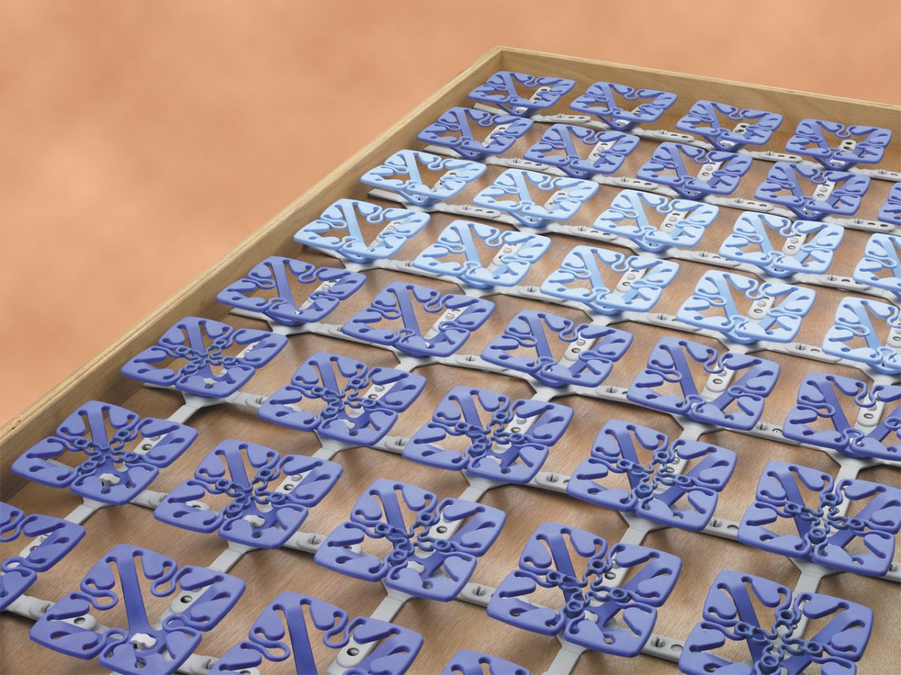 Bed System Froli Star, 70 x 200 cm